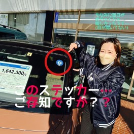 ★えのもちもちもちだより第９回☆